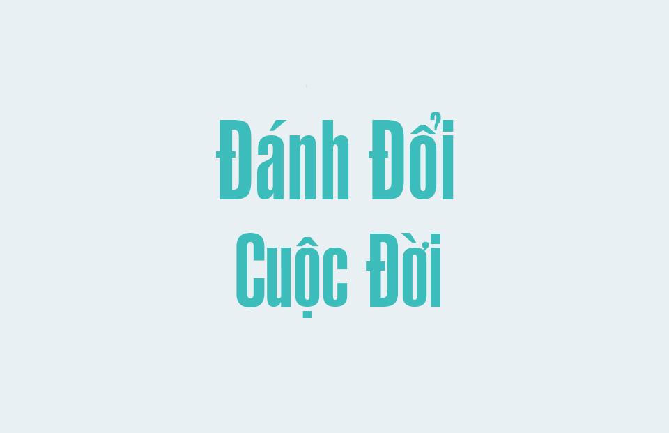 Font SFU Việt Hóa