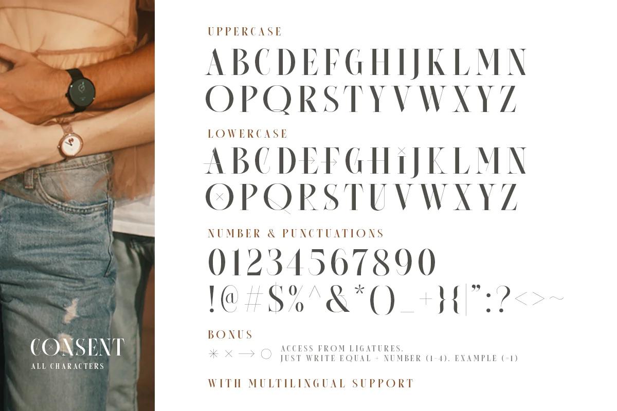 Editorial Serif Font Việt Hóa