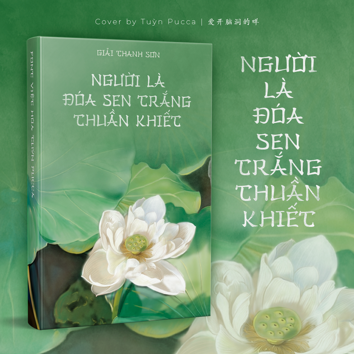 Font Han Zi Việt Hóa