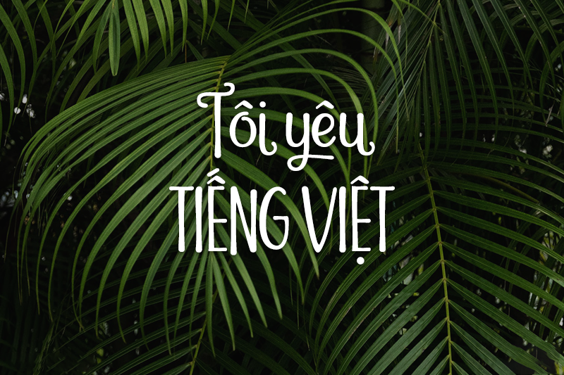 Font Nuit Việt Hóa