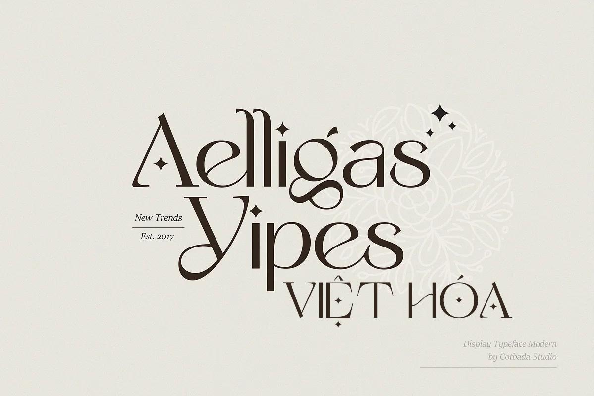 Font Yipes Display Typeface Viet Hoa