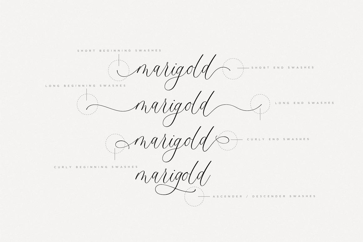 Montery Script - Font chữ viết tay Việt Hóa