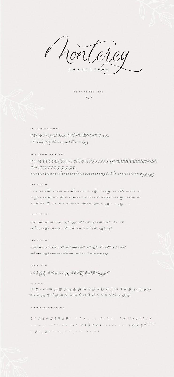 Montery Script - Font chữ viết tay Việt Hóa