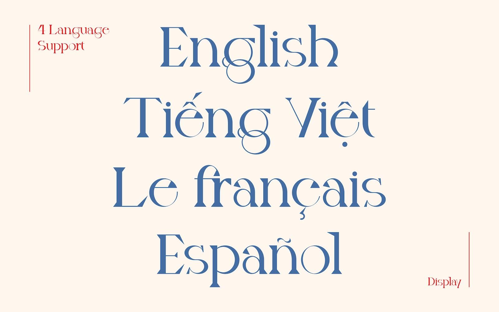 Type Face - Font Việt đẹp