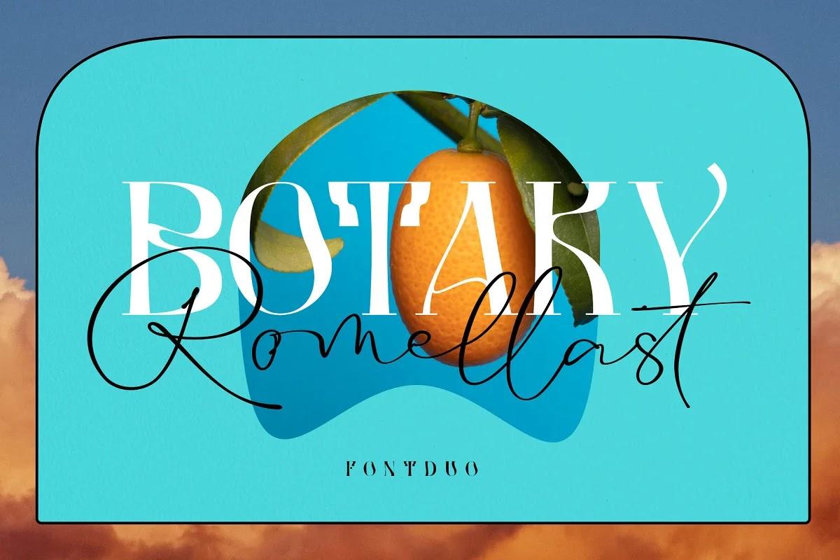 BOTAKY Romellast - Font Việt Hóa