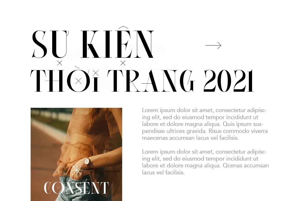 Editorial Serif Font Việt Hóa