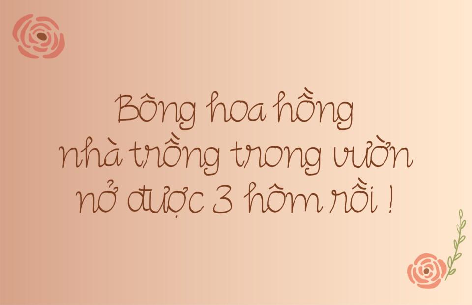 Font tiếng Việt chuot tu do