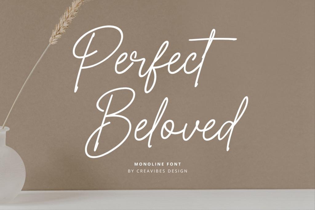 Font Việt hóa Perfect Beloved