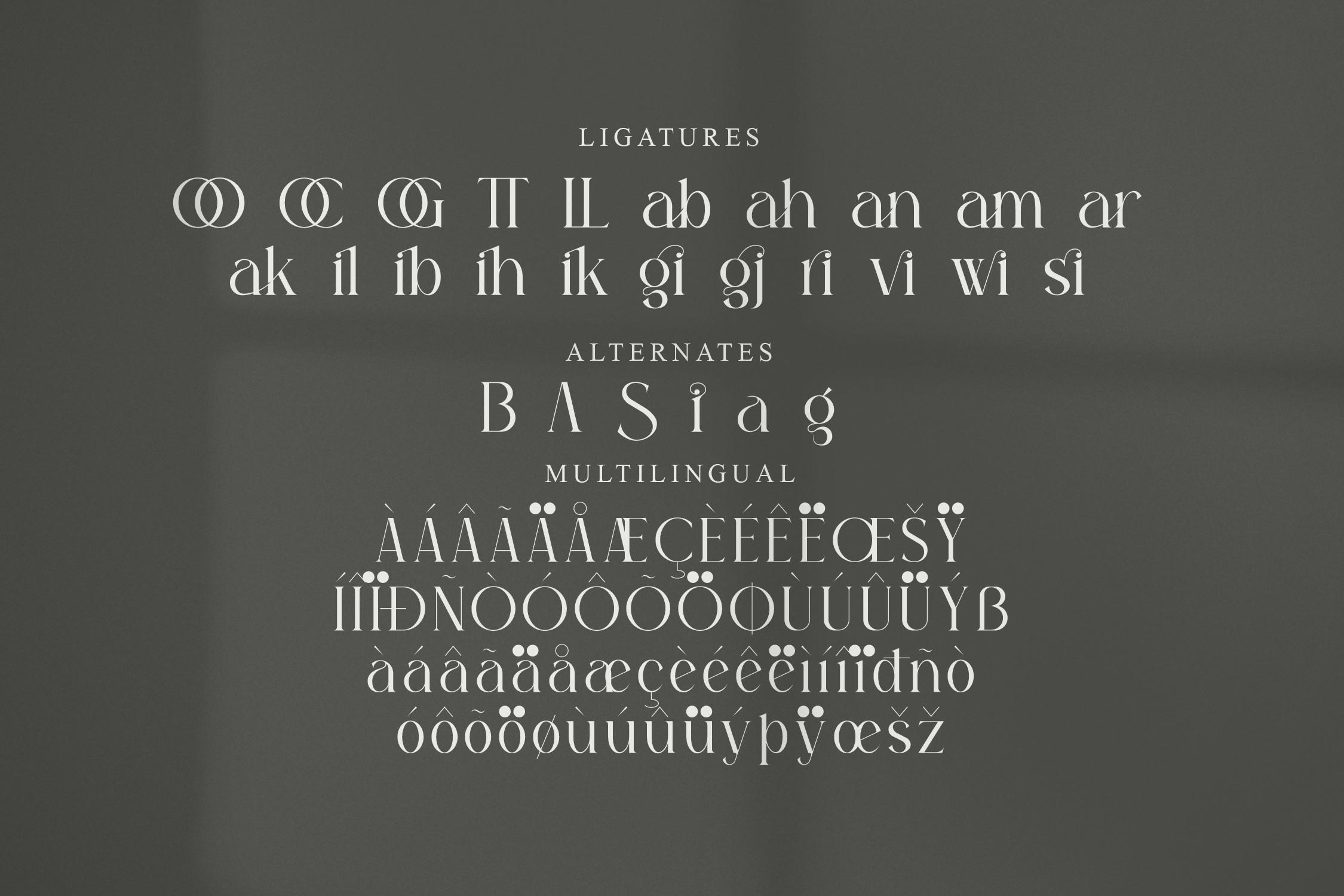 Font việt hóa Sagire