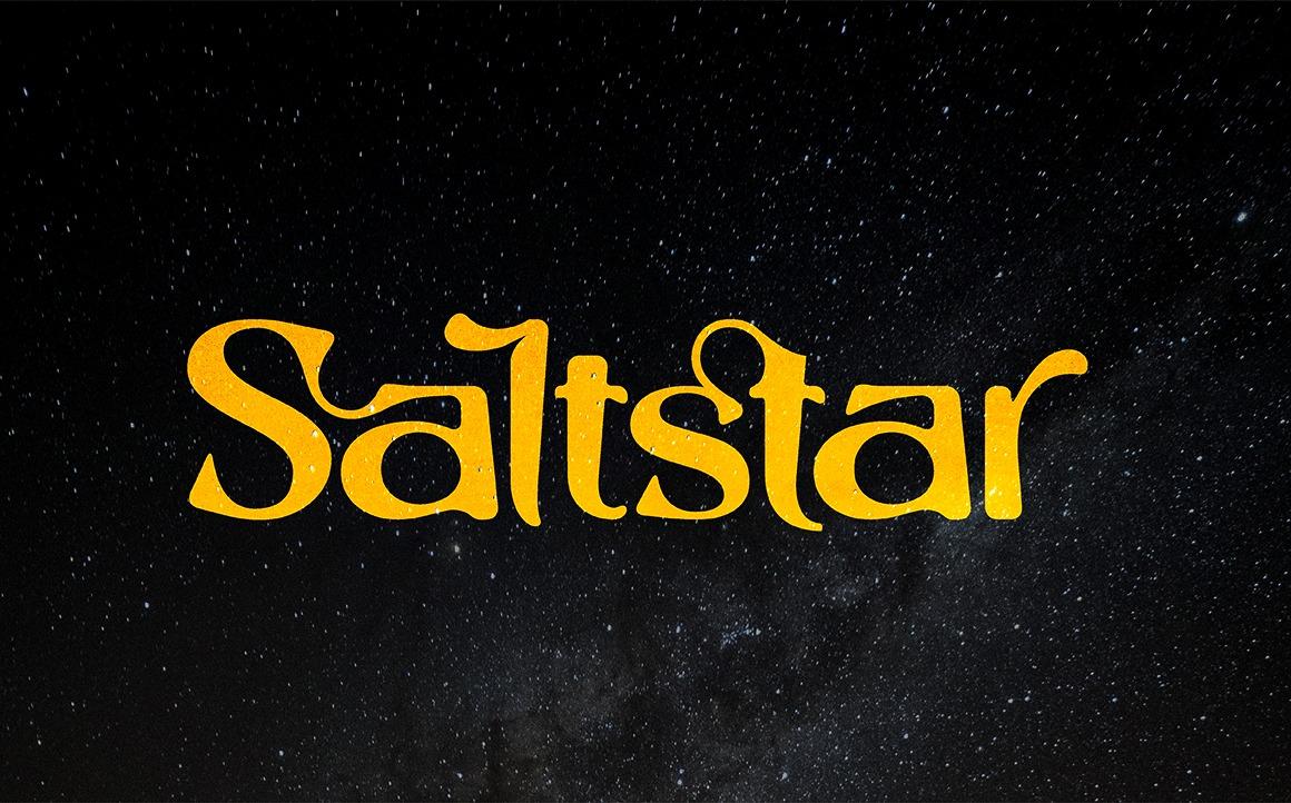 Font việt hóa Saltstar