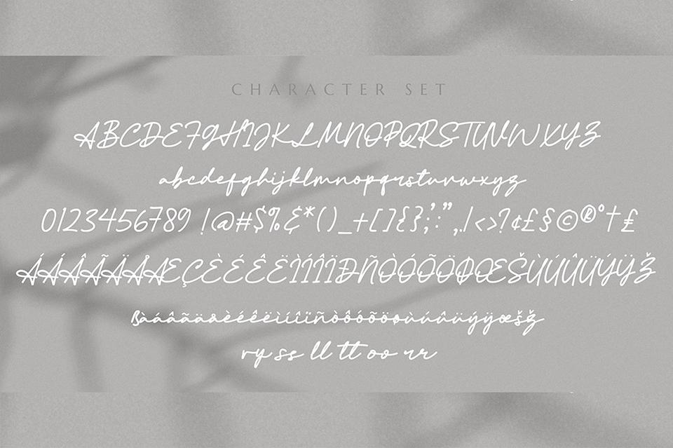 Font Việt hóa SVN Athena Signature