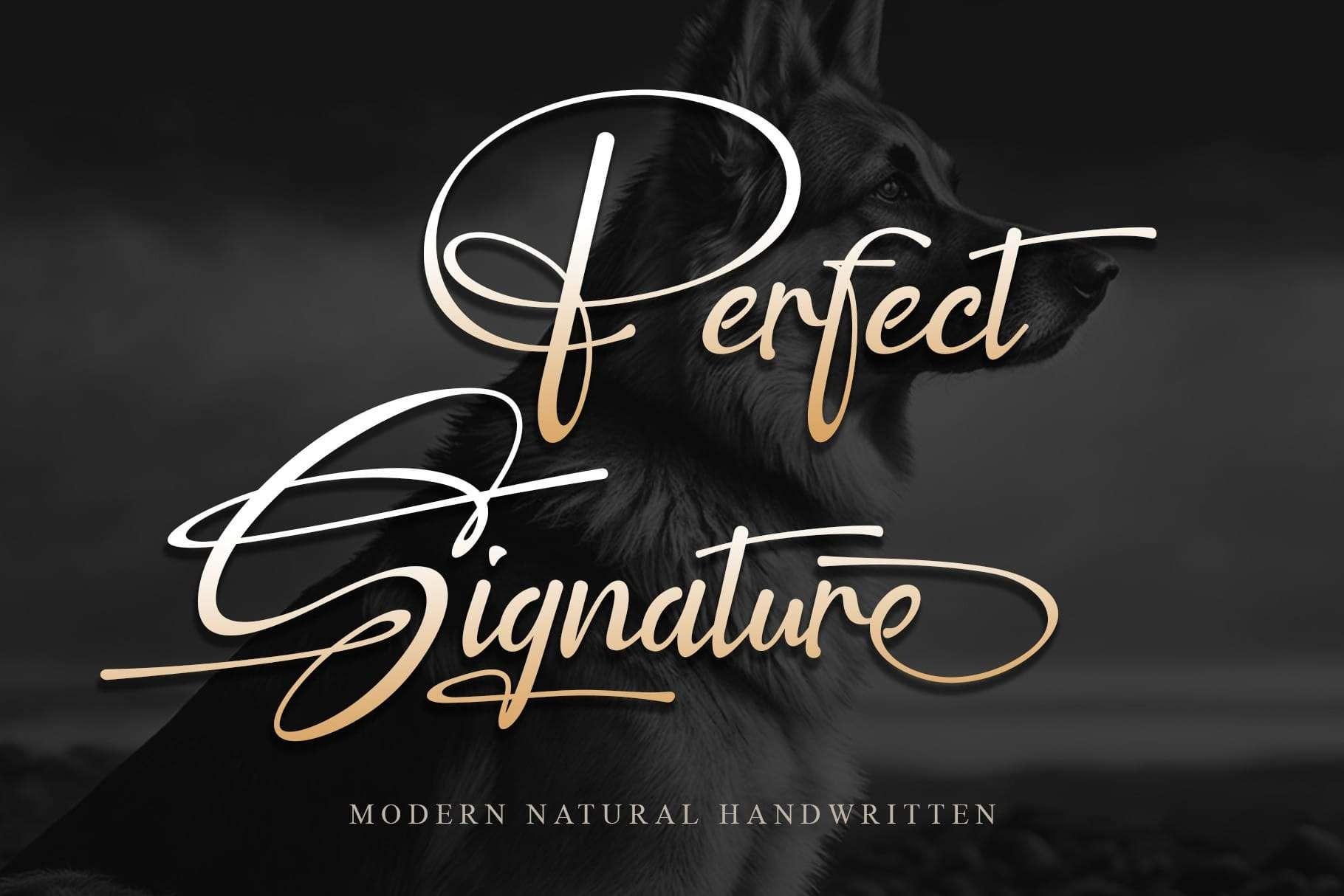 Font Việt hóa Perfect Signature