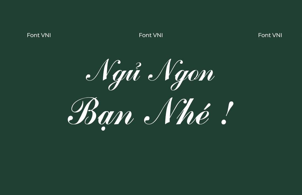 Font Việt hoá VNI Commerce