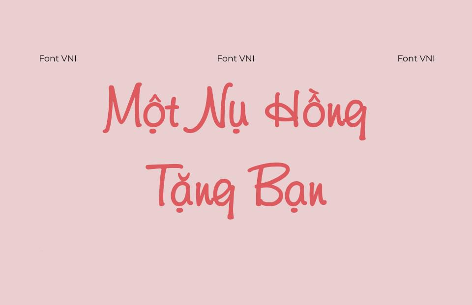 Font Việt hoá VNI Diudang