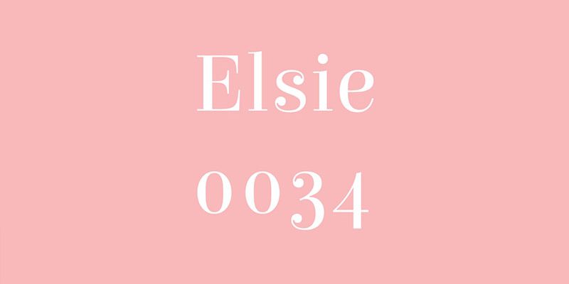 Font việt hóa Elsie